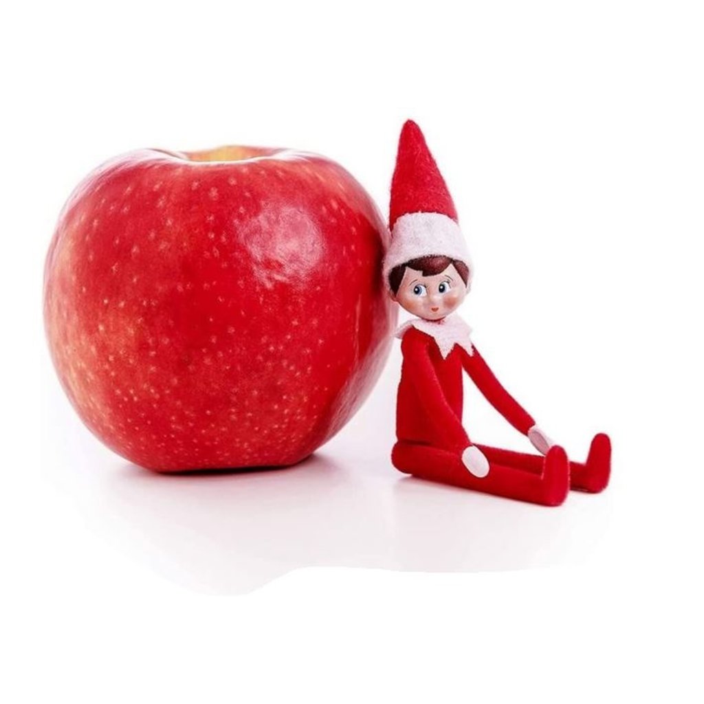  World's Smallest Elf on a Shelf : Home & Kitchen