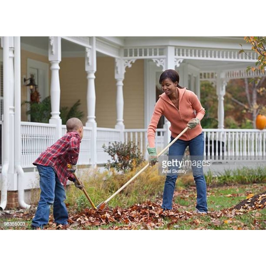kids raking leaves