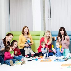THE TOY NETWORK MARACA