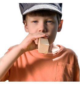 THE TOY NETWORK TRAIN WHISTLE