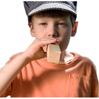 THE TOY NETWORK TRAIN WHISTLE