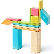 TEGU MAGNETIC WOOD BLOCKS 42 PIECE SET