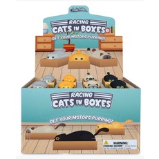 ACCOUTREMENTS RACING CAT IN A BOX