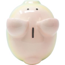 CHILD TO CHERISH BOSS HOG PIGGY BANK RAINBOW