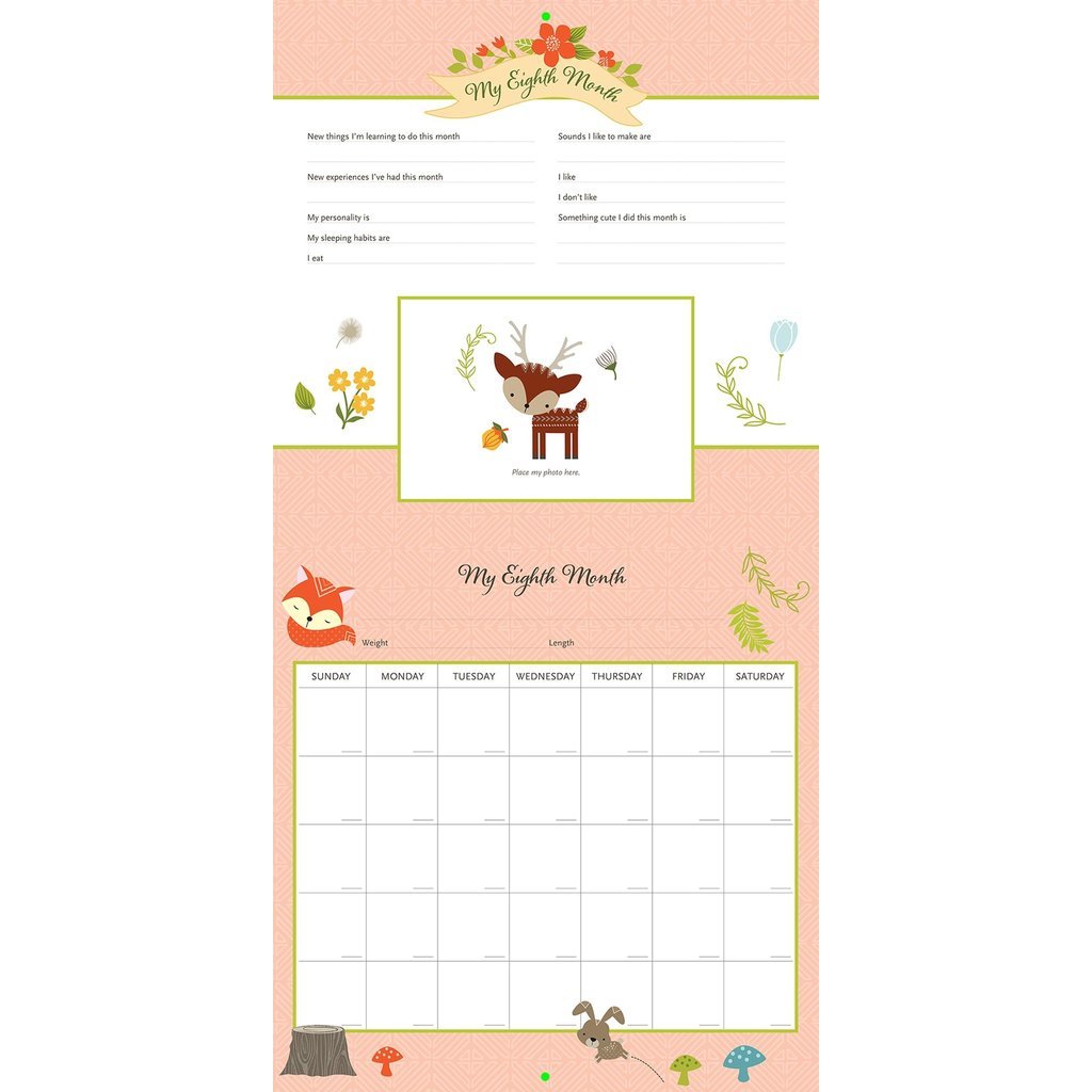 BABY S FIRST YEAR CALENDAR WOODLAND FRIENDS THE TOY STORE