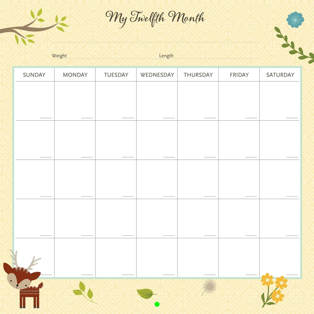 PETER PAUPER BABY'S FIRST YEAR CALENDAR WOODLAND FRIENDS*