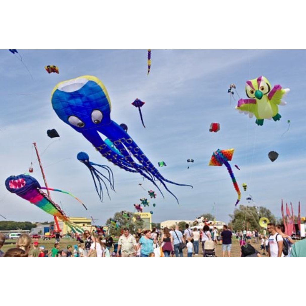 PREMIER KITE FLO-TAIL DELTA KITE SEA TURTLES