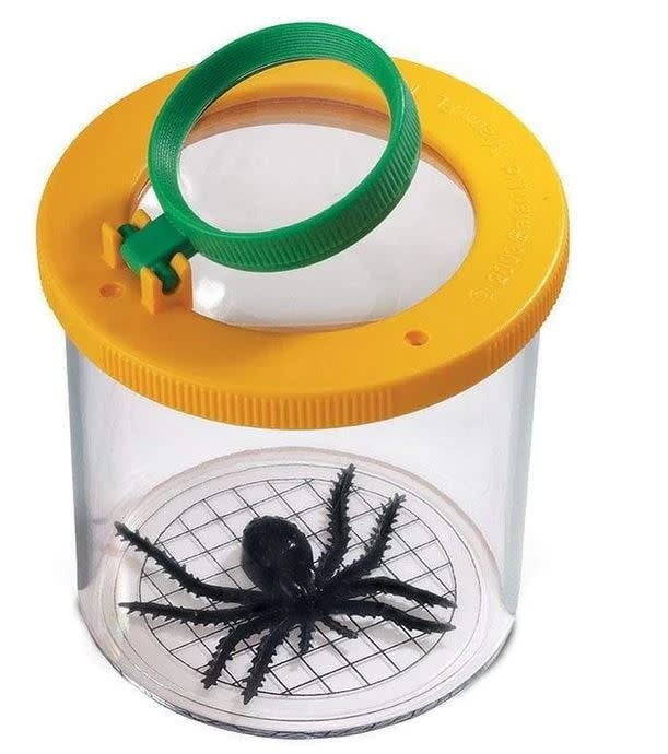 World’s Best Bug Jar