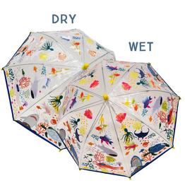FLOSS & ROCK COLOR CHANGING UMBRELLA