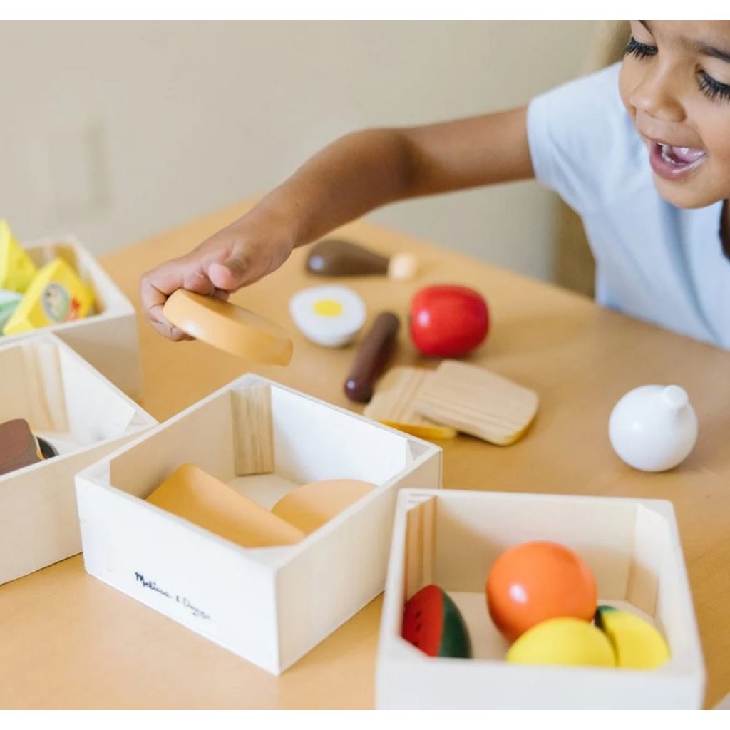 MELISSA AND DOUG FOOD GROUPS