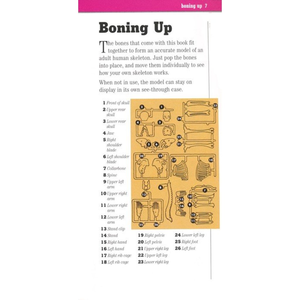 4 Bone Themed Bks-Bare Bones- Bones-Simple Science Bones-Big Book of Bones