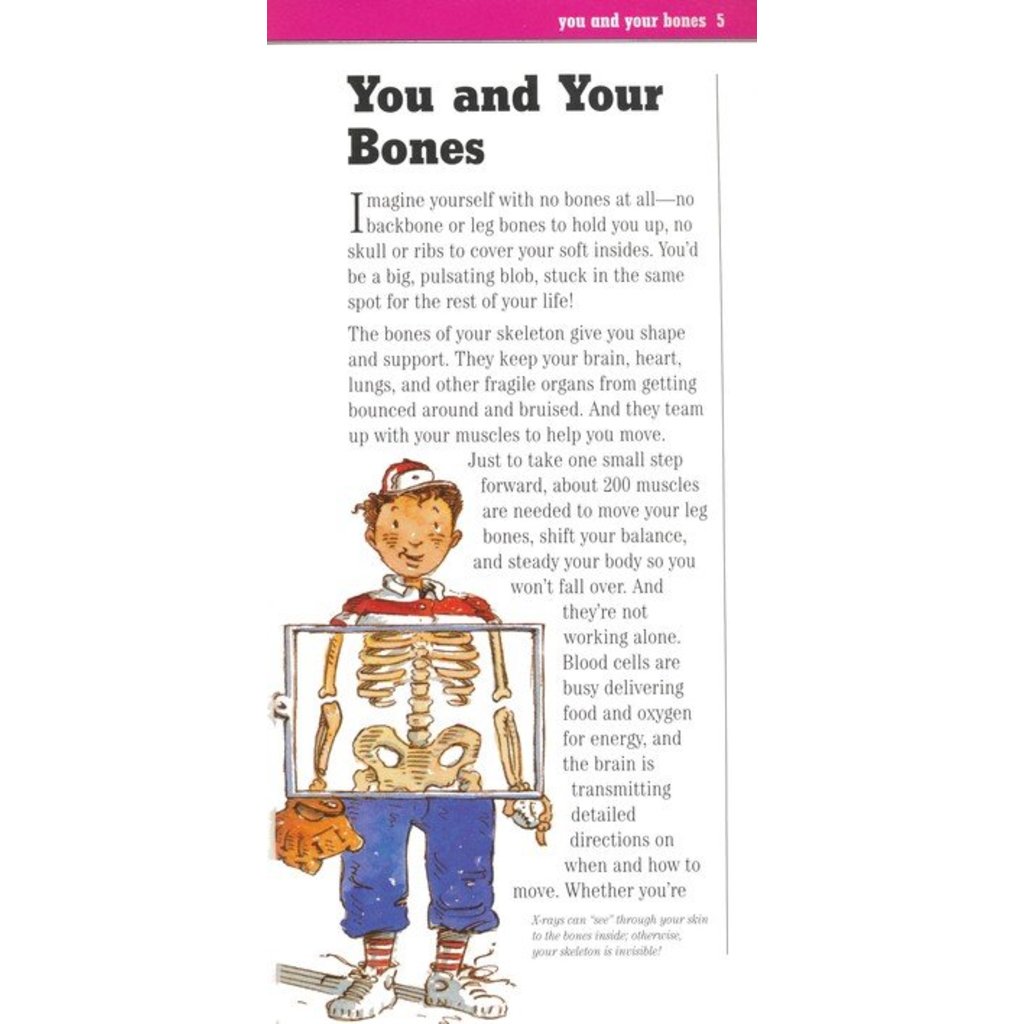 WORKMAN PUBLISHING BONES BOOK AND SKELETON PB CUMBAA