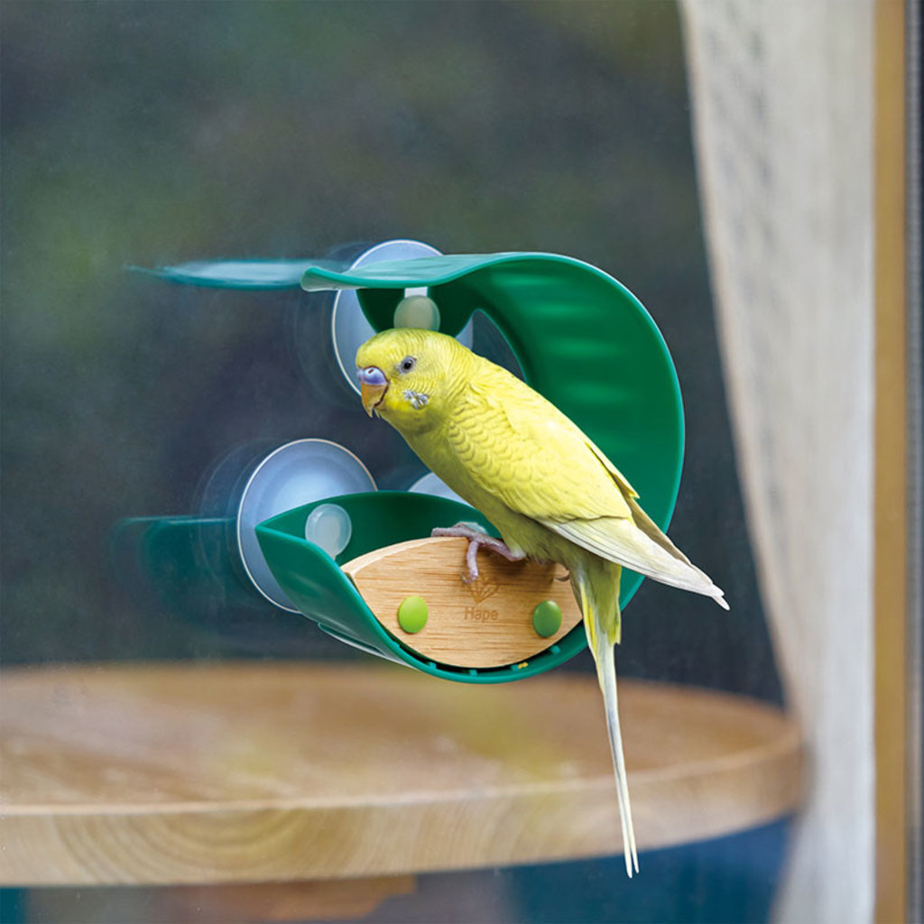 HAPE WINDOW BIRD FEEDER