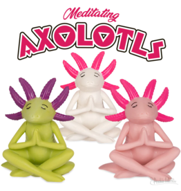ACCOUTREMENTS MEDITATING AXOLOTL**