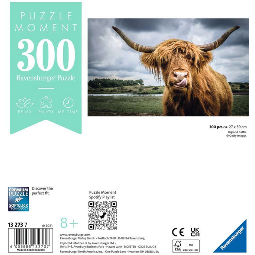 RAVENSBURGER USA 300 PC PUZZLE MOMENT