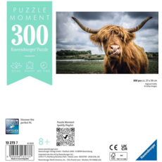 RAVENSBURGER USA 300 PC PUZZLE MOMENT