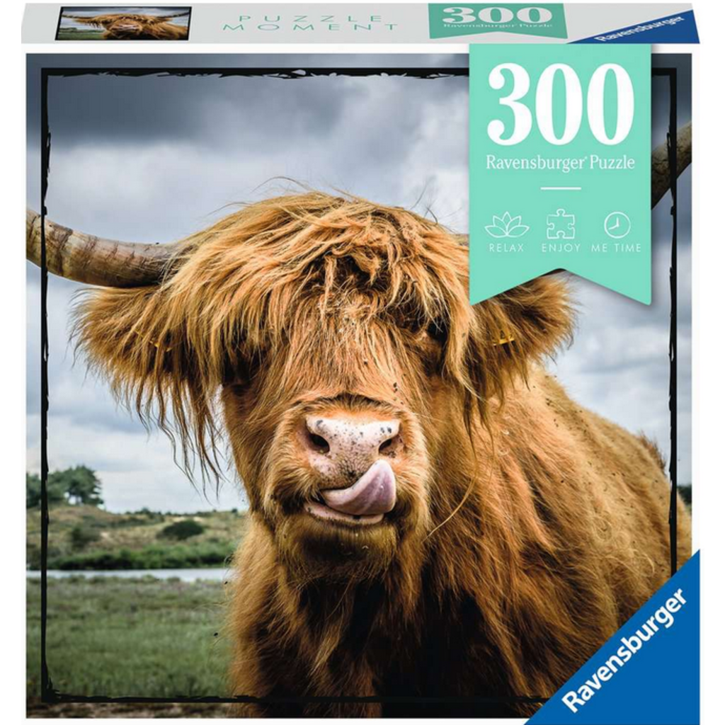RAVENSBURGER USA 300 PC PUZZLE MOMENT