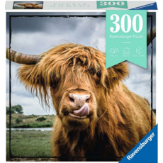 RAVENSBURGER USA 300 PC PUZZLE MOMENT