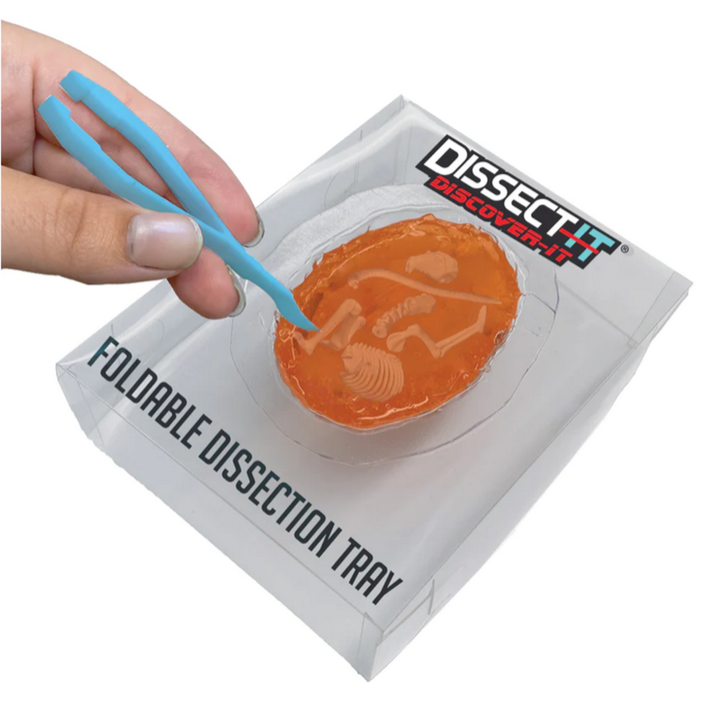 DISSECT IT DISSECT IT DISCOVER IT*