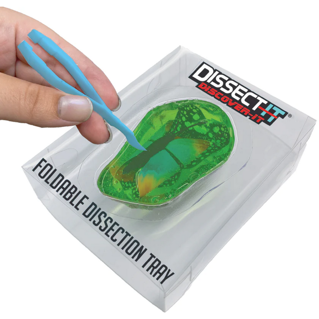 DISSECT IT DISSECT IT DISCOVER IT*