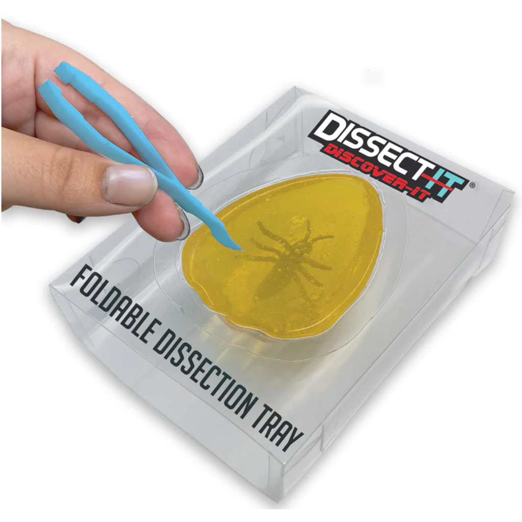 DISSECT IT DISSECT IT DISCOVER IT*