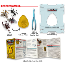 DISSECT IT DISSECT IT DISCOVER IT*