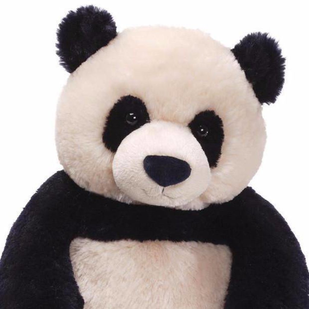 GUND ZI-BO PANDA