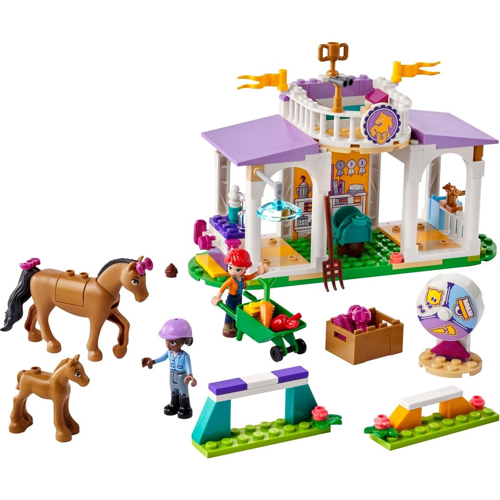 LEGO HORSE TRAINING