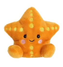 AURORA TREASURE STARFISH