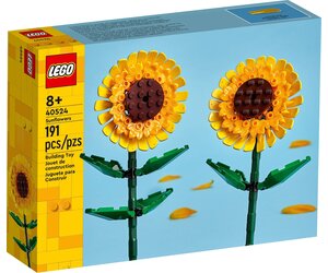 額装品/Sunflowers for Hope（デビット ホックニー） 30 Sunflowers