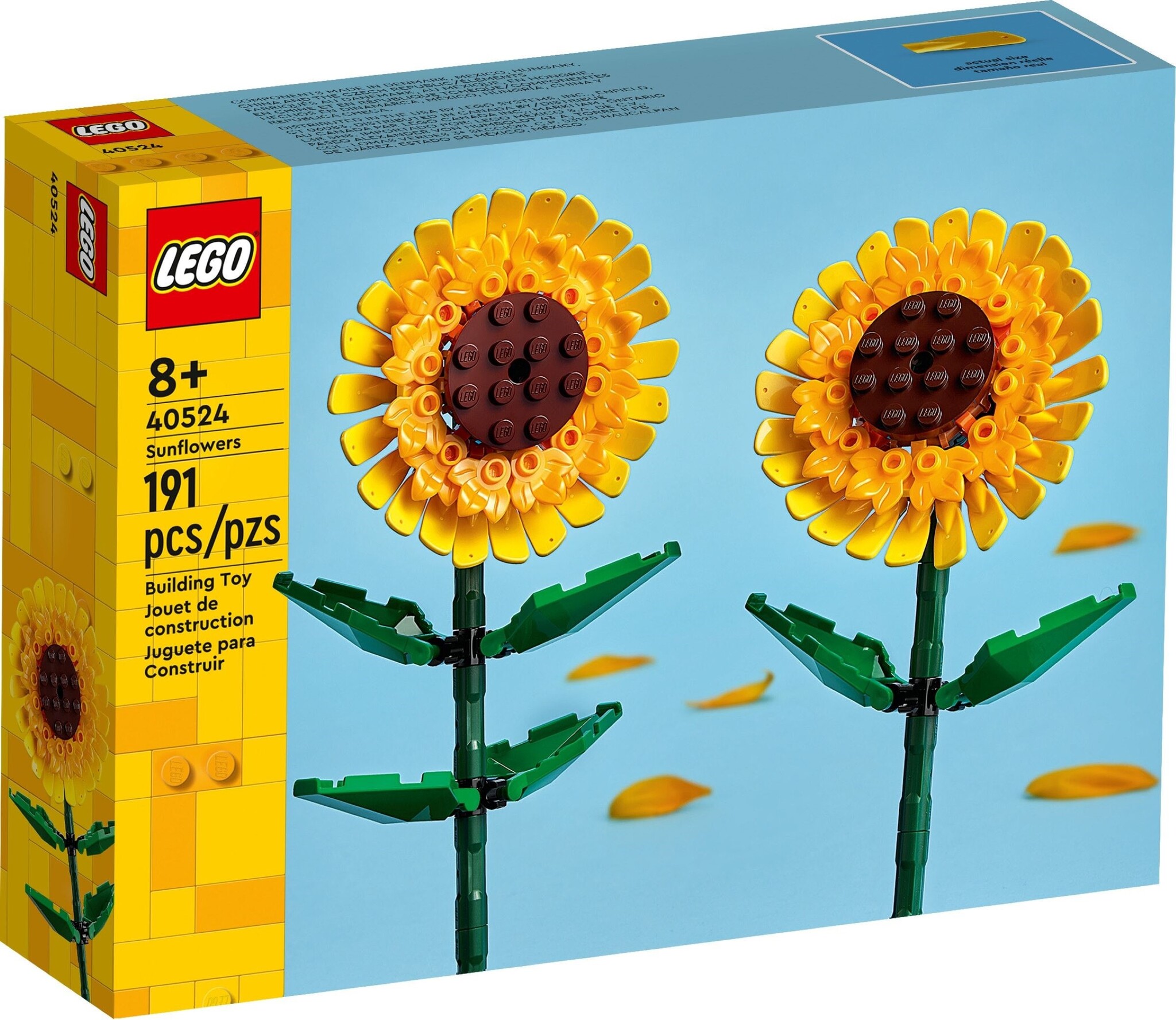 額装品/Sunflowers for Hope（デビット ホックニー） DAVID