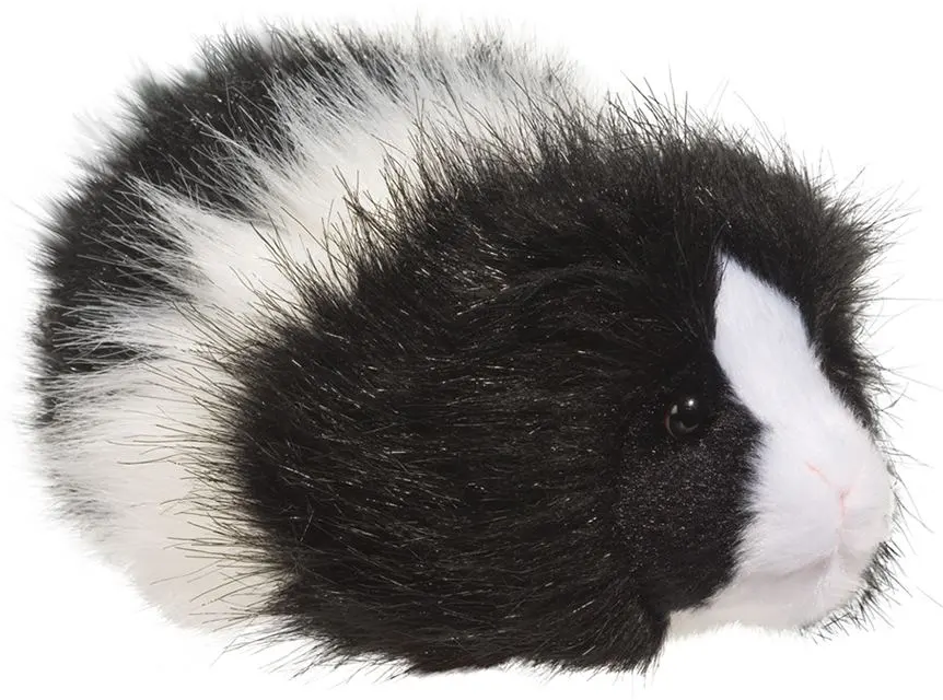 ANGORA GUINEA PIG THE TOY STORE