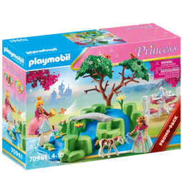 PLAYMOBIL PRINCESS PICNIC WITH FOAL**