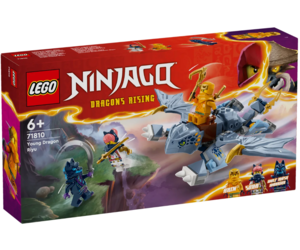 lego-young-dragon-riyu.jpg
