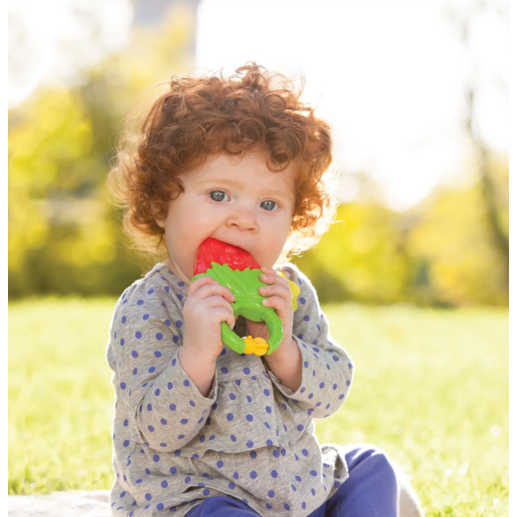 INFANTINO VIBRATING TEETHER