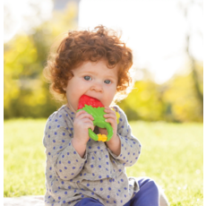 INFANTINO VIBRATING TEETHER