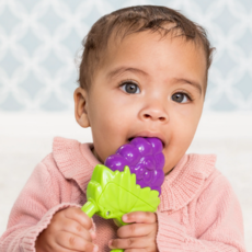 INFANTINO VIBRATING TEETHER