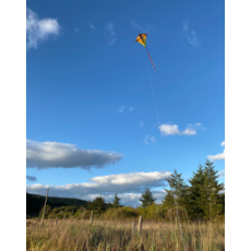 PRISM VERTEX DIAMOND KITE