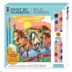 BRIGHT STRIPES PAINT BY NUMBERS