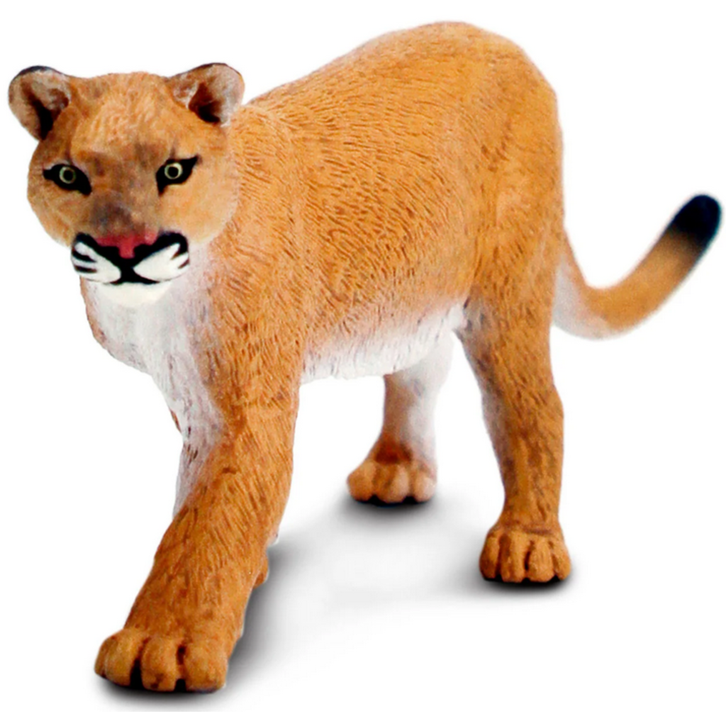 SAFARI SAFARI MOUNTAIN LION