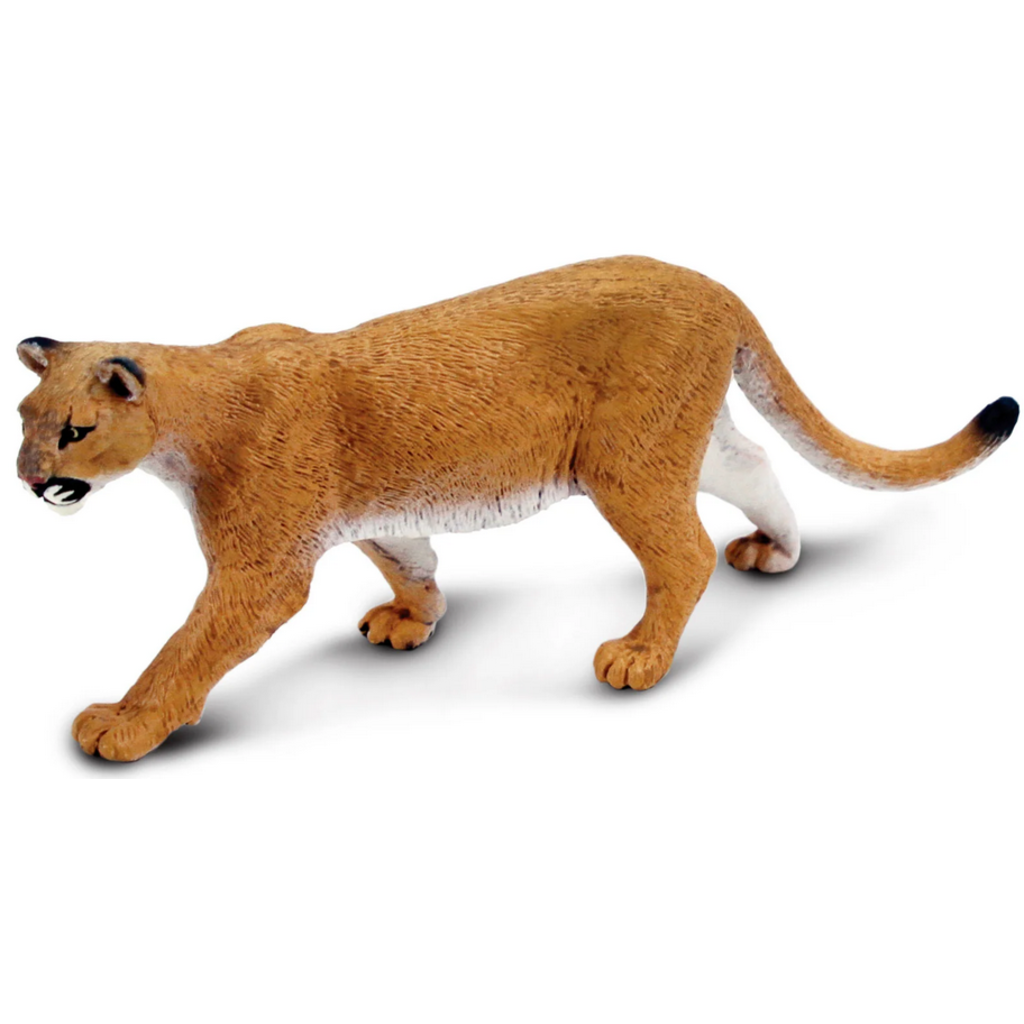 SAFARI SAFARI MOUNTAIN LION