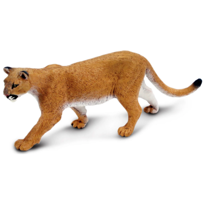 SAFARI SAFARI MOUNTAIN LION