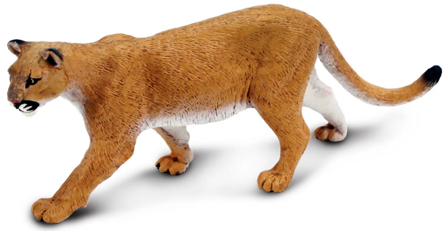 SAFARI MOUNTAIN LION