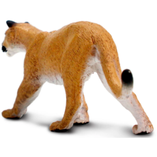 SAFARI SAFARI MOUNTAIN LION