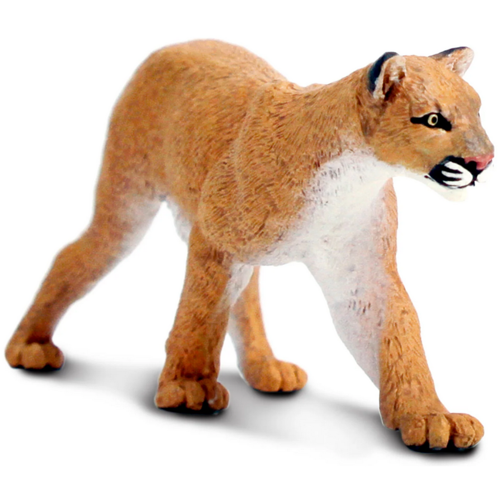SAFARI SAFARI MOUNTAIN LION