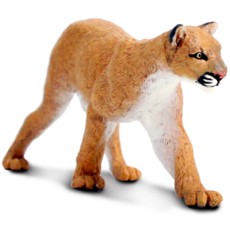 SAFARI SAFARI MOUNTAIN LION