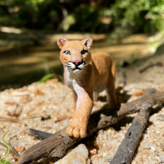 SAFARI SAFARI MOUNTAIN LION