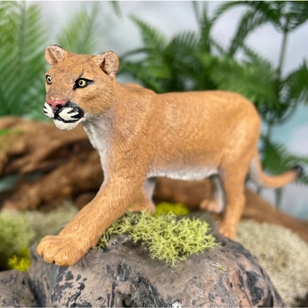 SAFARI SAFARI MOUNTAIN LION