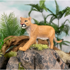 SAFARI SAFARI MOUNTAIN LION