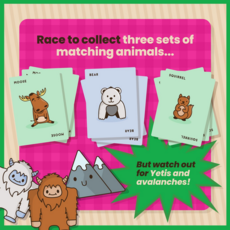 DOLPHIN HAT GAMES MOOSE MATCH MAYHEM CARD GAME
